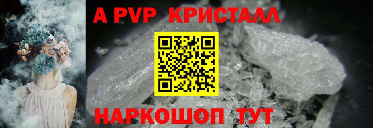 A-PVP СК КРИС Балтийск