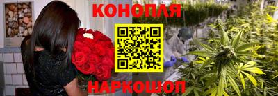 гидра Ливны