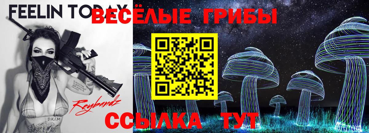 Галлюциногенные грибы MAGIC MUSHROOMS  Вход с VPN  цены наркотик  Балтийск 